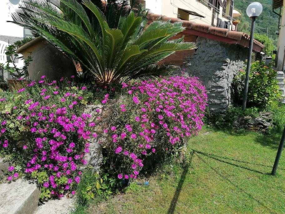Casa Andreina Villa Salto Chiesa Dış mekan fotoğraf